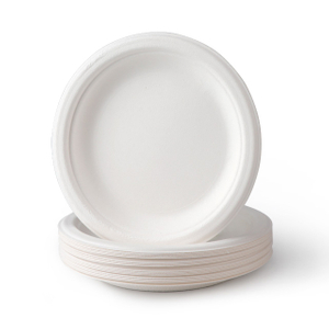 Одноразовый поднос для мякотью сахарного тростника