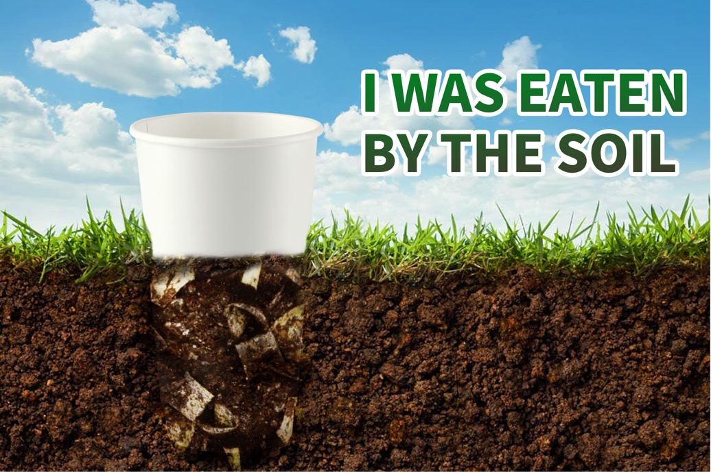 На водных покрытиях