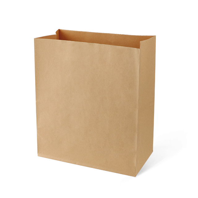 Квадратный нижний коелея