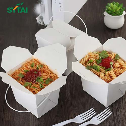 Paper-Noodle-Box-8.jpg